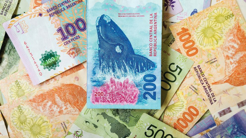 Cronograma de pagos Anses agosto 2022
