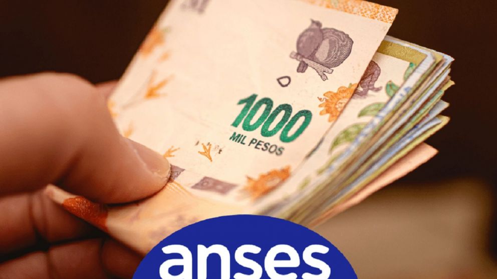 Anses confirmó el estado de solicitud para los postulantes al bono de $18.000