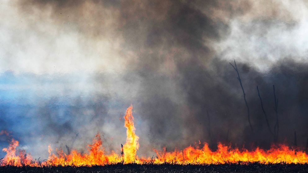 Incendio en el Delta del río Paraná
