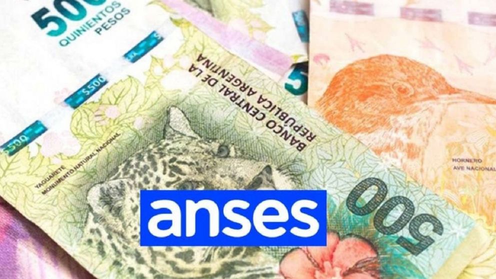 Novedades para jubilados de Anses