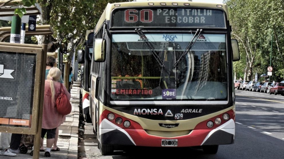 ¿Qué líneas se ven afectadas?