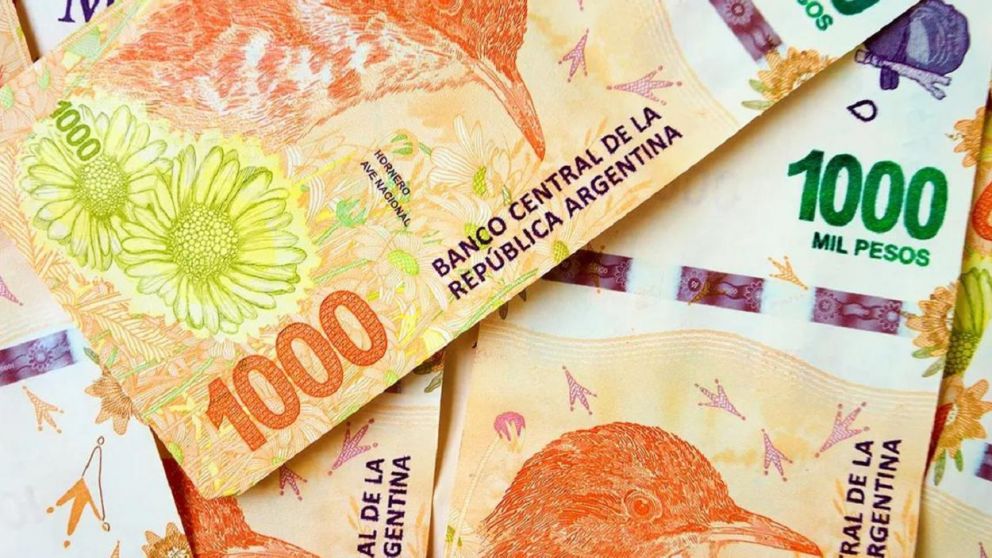 Becas Progresar 2022: inscripciones habilitadas para una línea