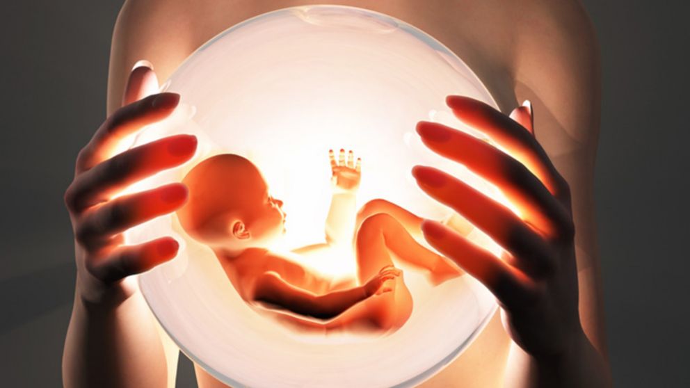 Embriones sintéticos creados en Israel