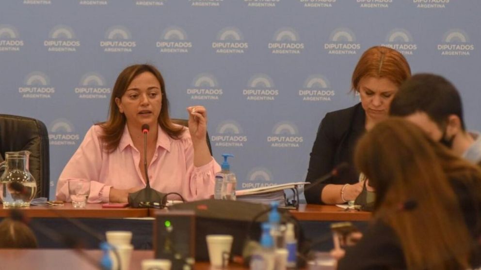 Massa deja Diputados y Cecilia Moreau asume como nexo entre el Congreso y el Ejecutivo nacional