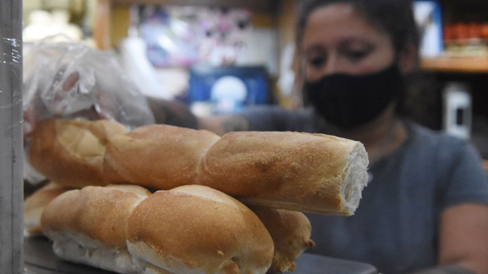 Cuánto va a salir el pan