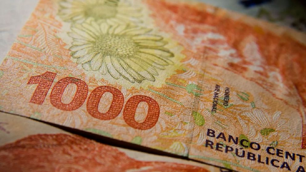 Novedades Mi Anses: Potenciar Trabajo