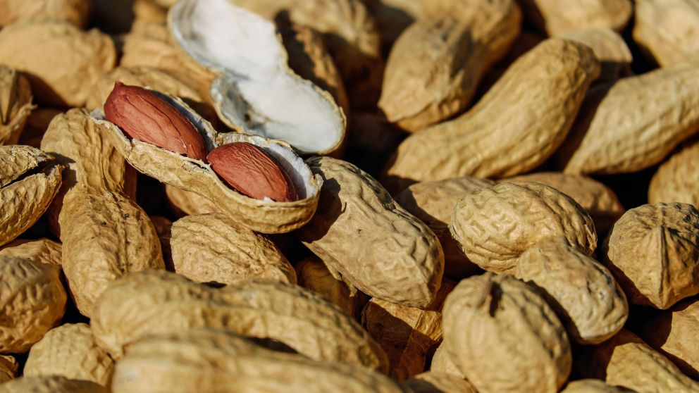 Productor de maní cordobés obtiene préstamo de 750 millones de pesos