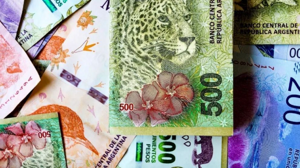 Anses: aumento a jubilados 2022