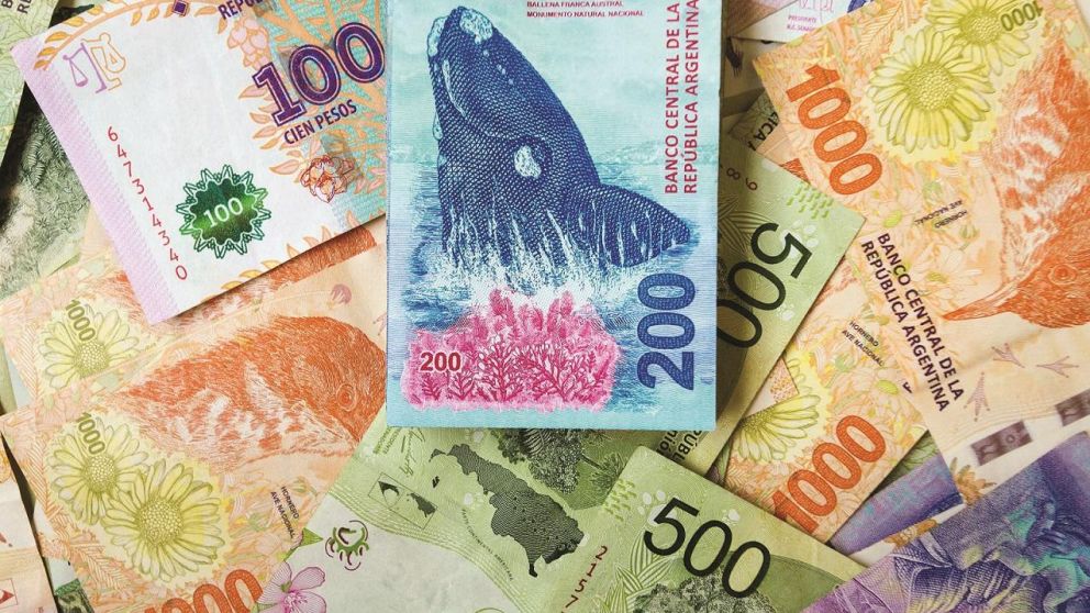 Salario básico universal 2022