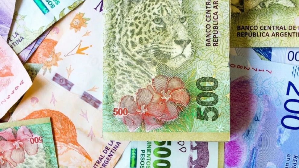 Cómo obtener un Crédito Anses