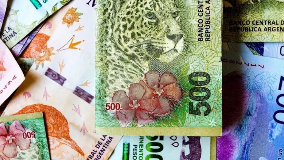 Becas Progresar 2022: fechas de cobro