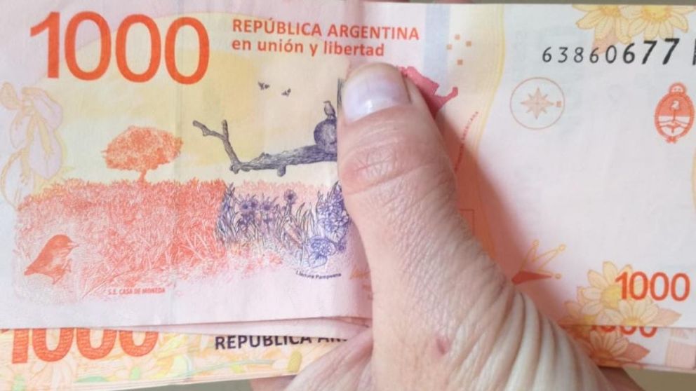 El bono de febrero se depositará junto a las Becas Progresar