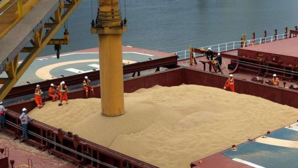 Harina de soja, uno de los productos que genera más ingreso de divisas