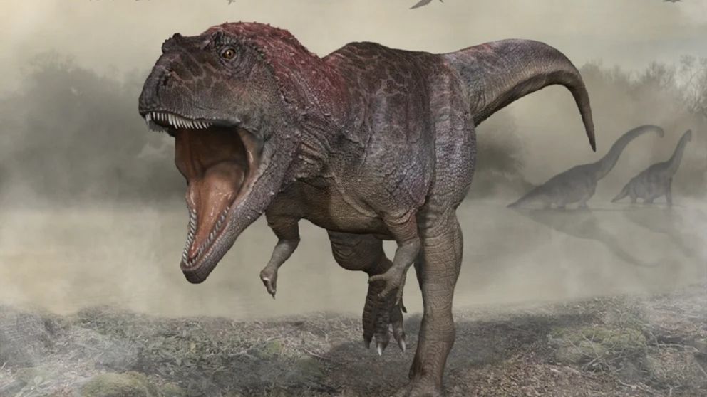 Encuentran fósil de un dinosaurio en Neuquén