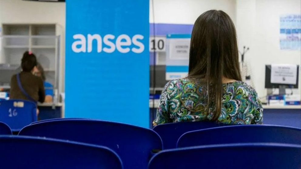 Planilla de subsidio de luz y gas en Anses