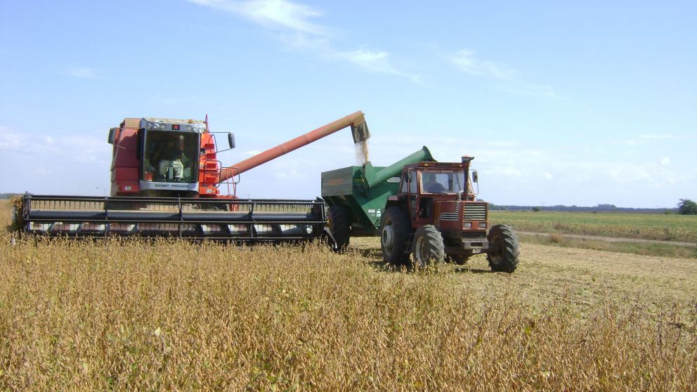 Agricultura aprobó el pago para pequeños y medianos productores