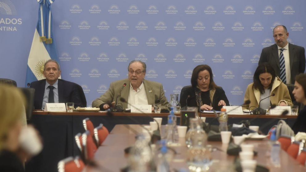Alquileres: finalmente se firmaron dos dictámenes, pero ni el FdT ni la oposición tienen mayoría asegurada
