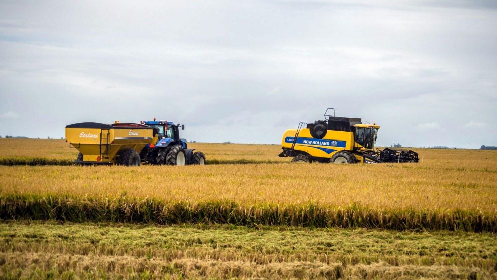 Los precios de muchos alimentos, desde el trigo y otros cereales hasta la carne y los aceites, se han disparado