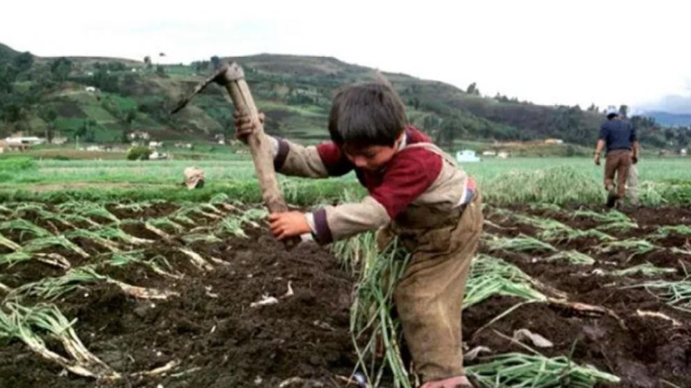 La erradicación del trabajo infantil: un compromiso con el presente y el futuro