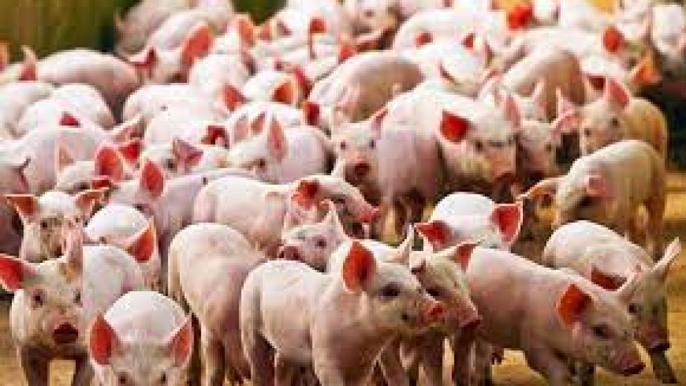 Se not� un fuerte incremento en las importaciones 