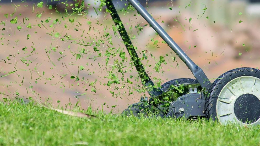 Las empresas de jardinería se enfrentan a menos clientes y más amenazas de cierre