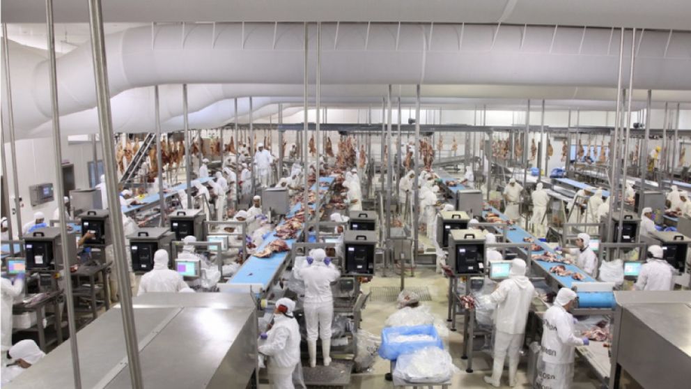 En 2020, Argentina exportó 900.000 toneladas