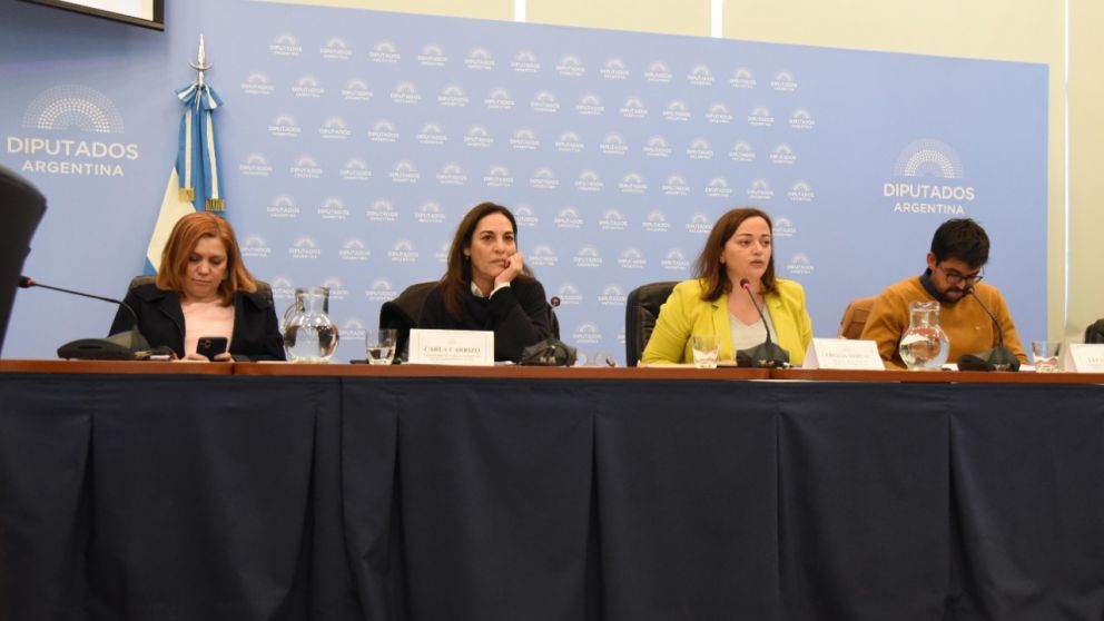 Diputados comenz� el debate del proyecto que crea un Fondo para cancelar la deuda con el FMI