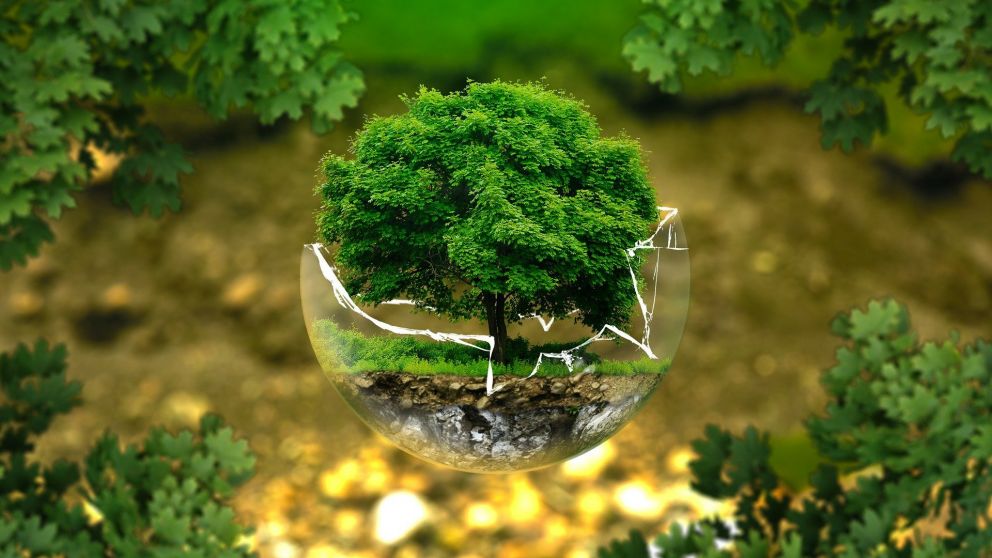 Argentina ya pasó 8 de los 9 límites de sostenibilidad del planeta