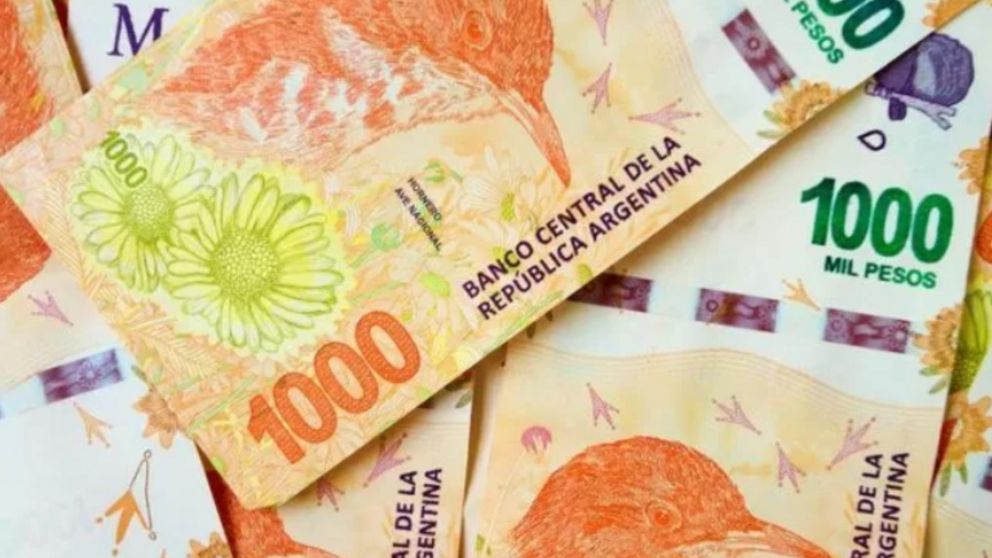 Mi Anses: delcaración jurada AUH