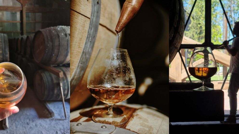 La cebada del whisky The Williams Casanegra se origina en el Valle de Uco