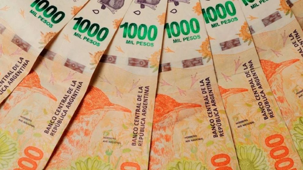 �Cu�ndo cobro Anses?