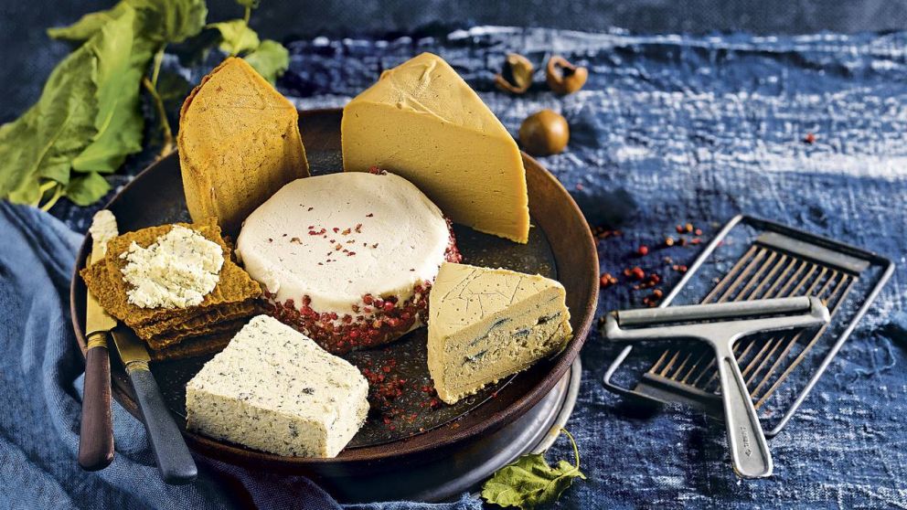 Abren la primera fábrica de América Latina que producirá quesos a base de plantas