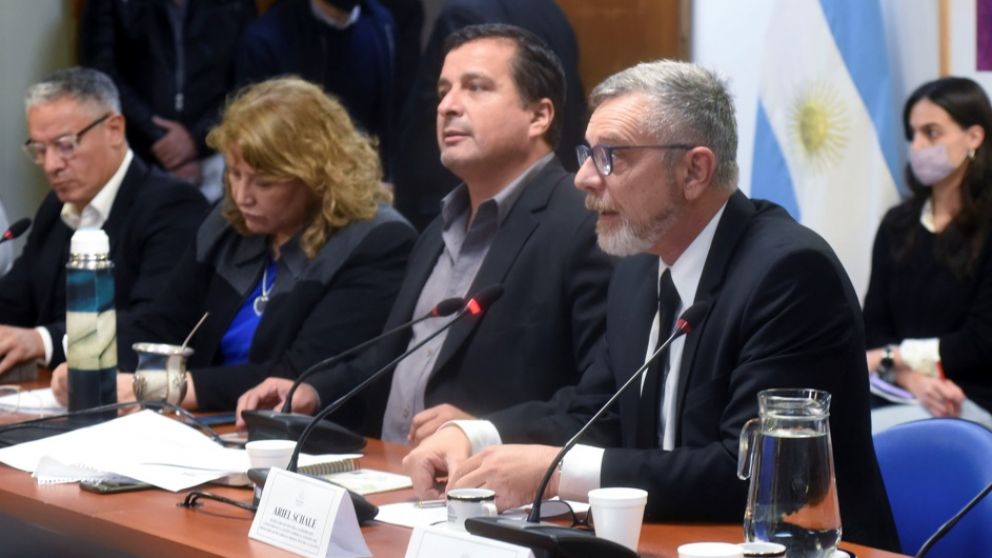 El secretario de Industria, Ariel Schale, defendió la nueva ley de Compre Argentino en Diputados