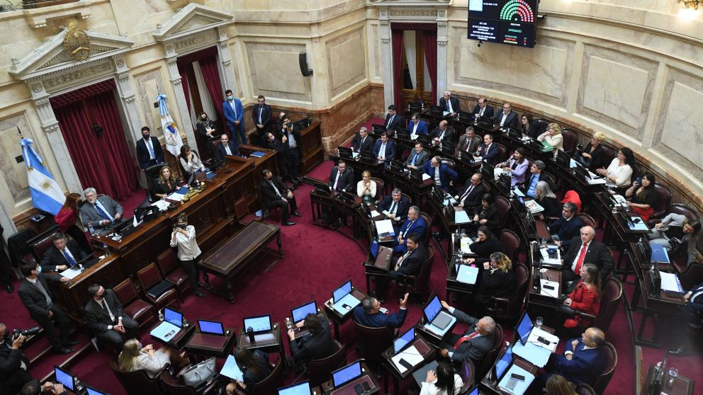 El Senado aprobó el fondo para pagar al FMI con dólares fugados