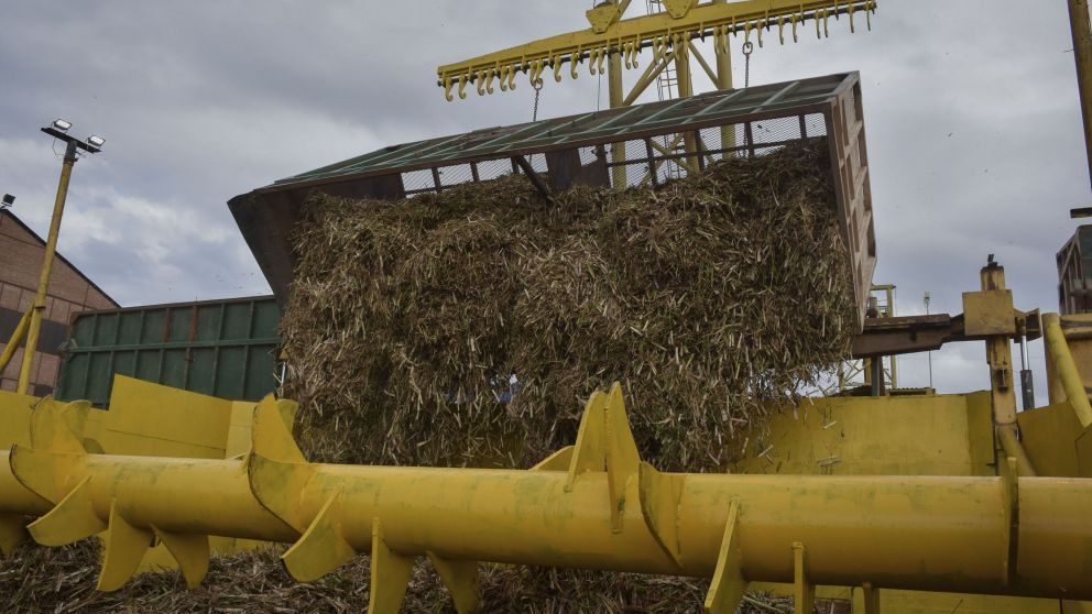 Ledesma invierte 33 millones de dólares de cara a la cosecha de caña de azúcar