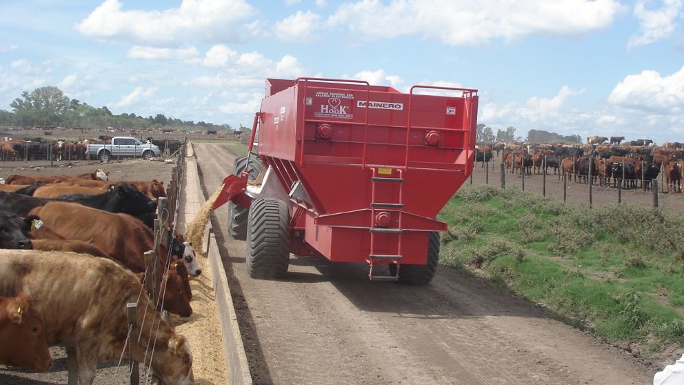 Los costos de alimentación en los corrales no paran de subir
