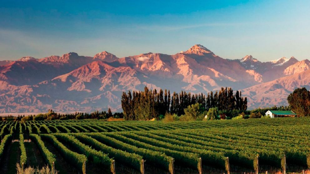 Segunda edición del programa Sale Mendoza que brinda paquetes turísticos económicos
