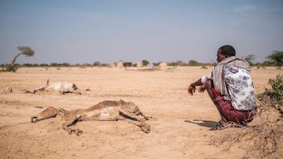 Etiopía, Madagascar, Sudán del Sur y Yemen se encuentran en la fase de catástrofe