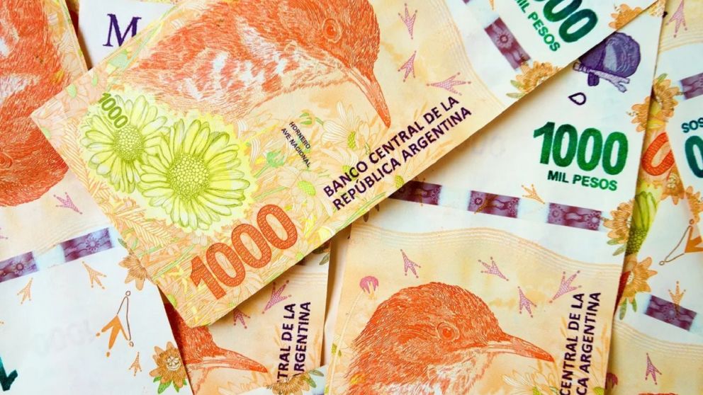 Anses bono 2022: compatible con Potenciar Trabajo