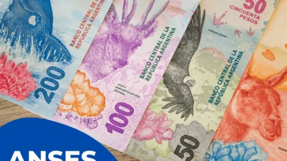 Anses: ¿cuándo cobro el bono?