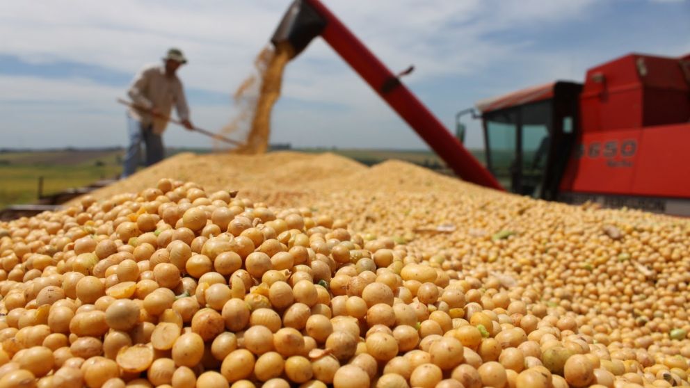El precio hoy no es atractivo para el productor