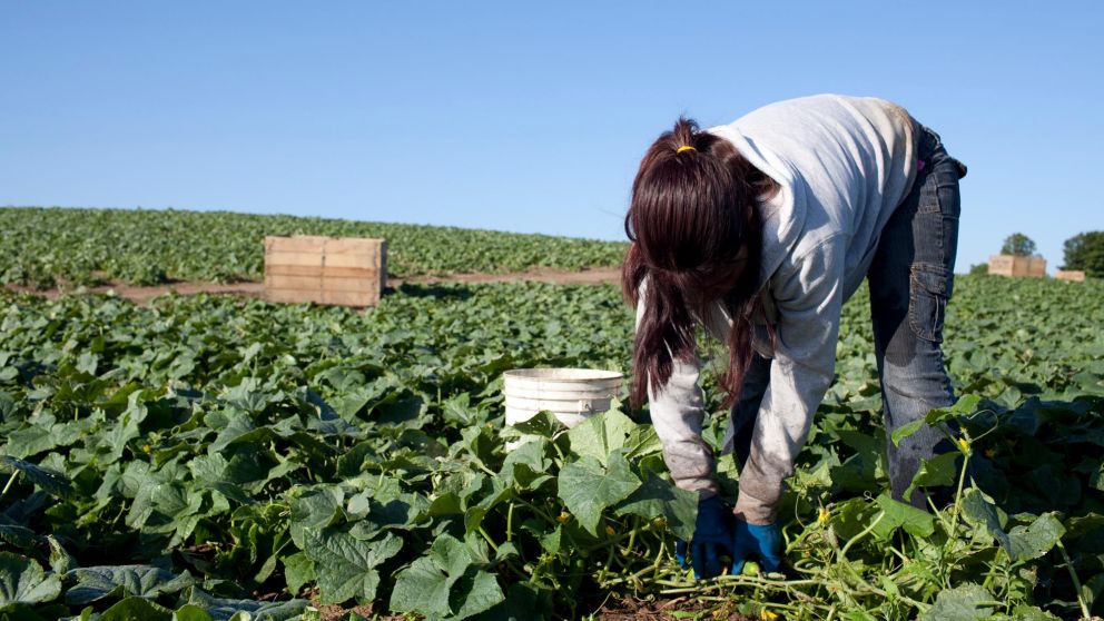 Todavía nos faltan muchas conquistas