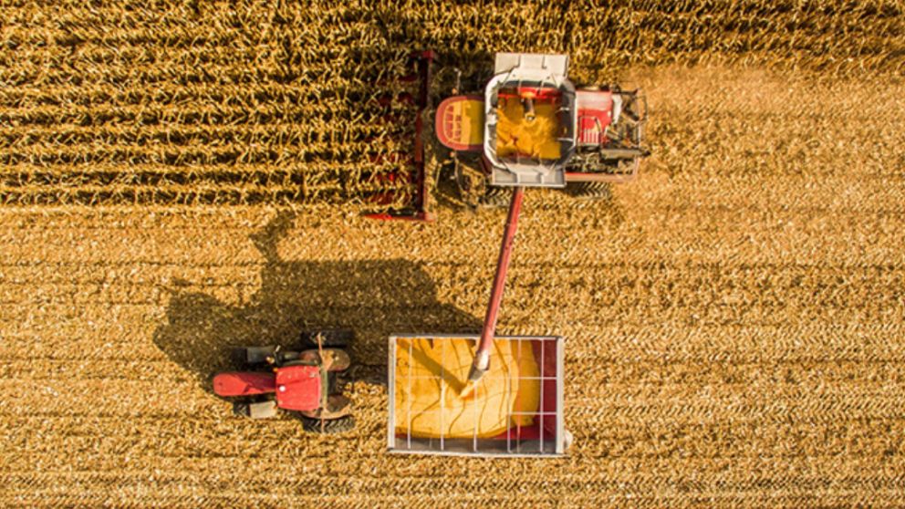 El Gobierno oficializ� la operatoria del Fideicomiso p�blico del trigo y la moliner�a eval�a si participa