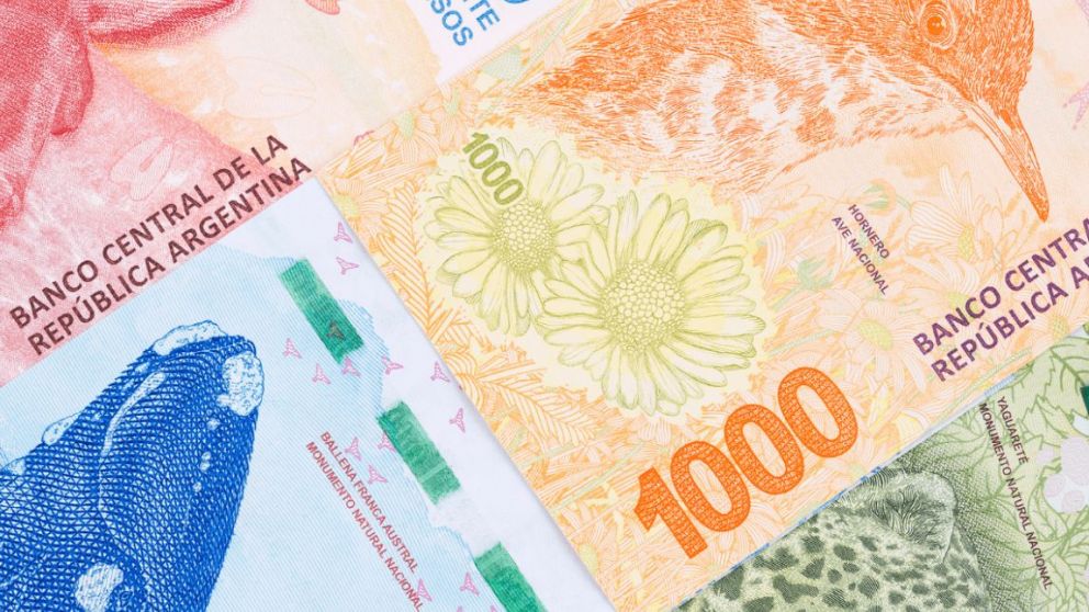 Se podrá recibir la primera cuota del bono hasta los primeros días de junio