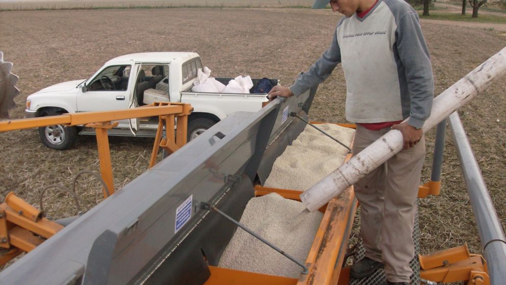 El suministro de fertilizantes está asegurado