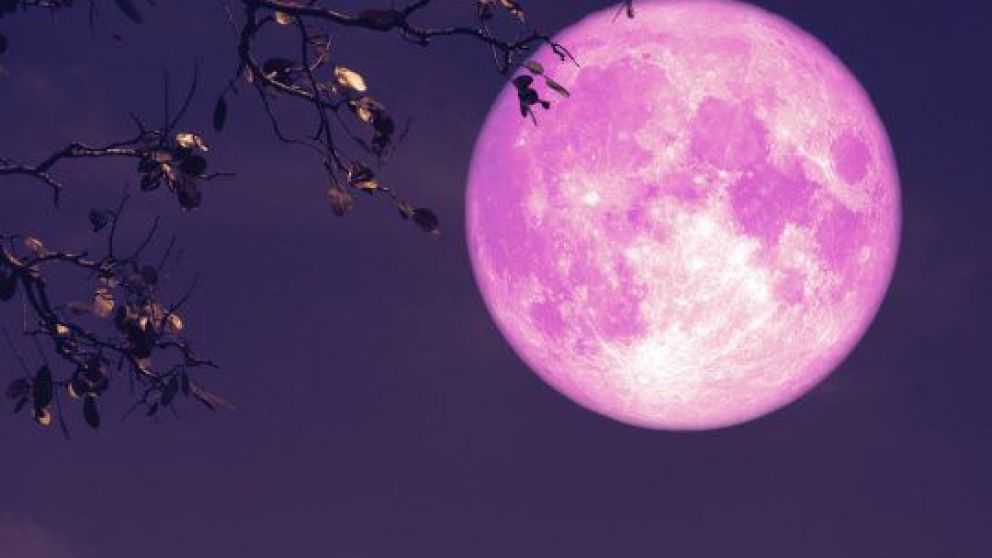 Feng Shui: cómo alinear las energías de la Luna Rosa