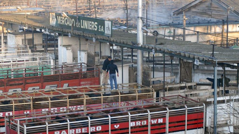 Por un conflicto gremial, se frenó el ingreso de hacienda a Liniers