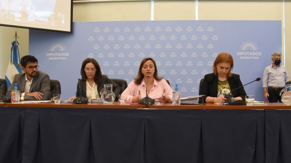 Ley de Alquileres: los corredores inmobiliarios y propietarios quieren modificarla pero los inquilinos no