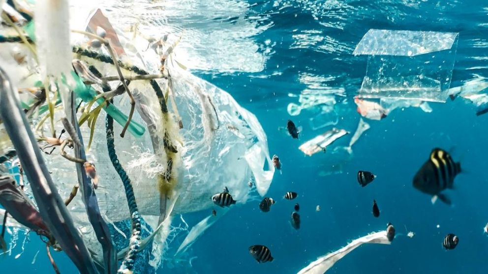 Cada año se vierten al océano unos 10 millones de toneladas de plástico