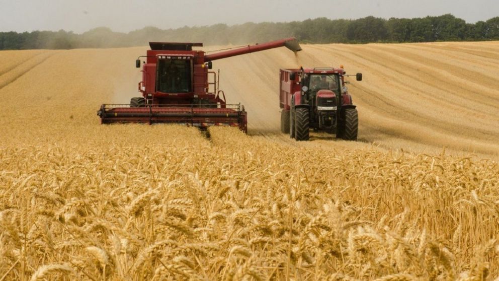 Los m�rgenes de rentabilidad del sector agropecuario crecieron exponencialmente